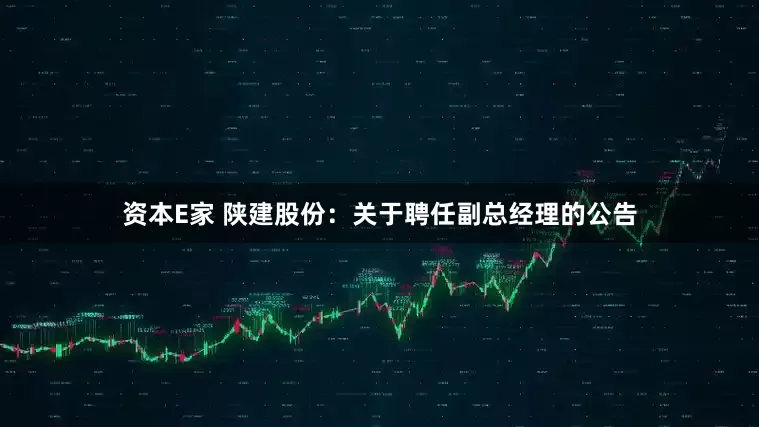 资本E家 陕建股份：关于聘任副总经理的公告