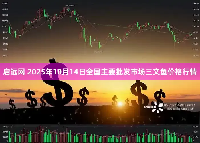 启远网 2025年10月14日全国主要批发市场三文鱼价格行情