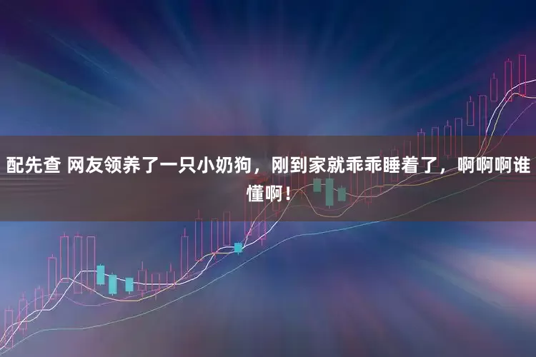 配先查 网友领养了一只小奶狗，刚到家就乖乖睡着了，啊啊啊谁懂啊！