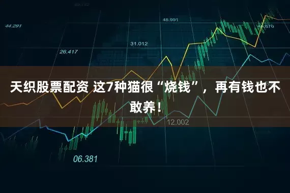天织股票配资 这7种猫很“烧钱”，再有钱也不敢养！