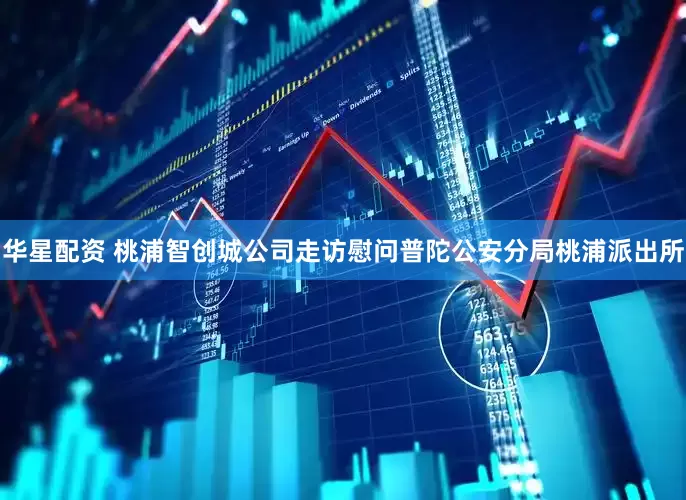 华星配资 桃浦智创城公司走访慰问普陀公安分局桃浦派出所